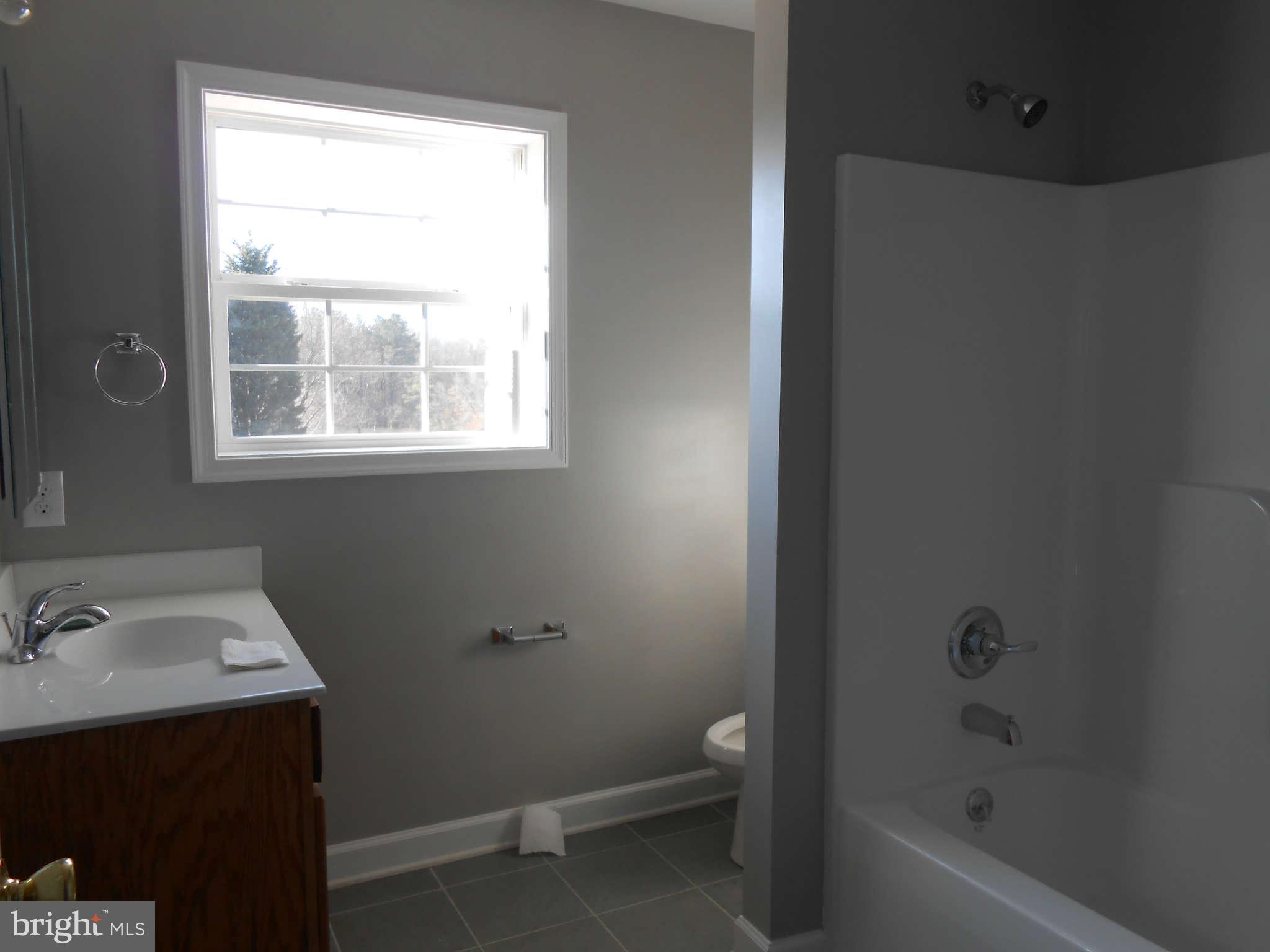 45215 Take It Easy Ranch Road Callaway, MD 20620 - Photo 11 of 14 Bath