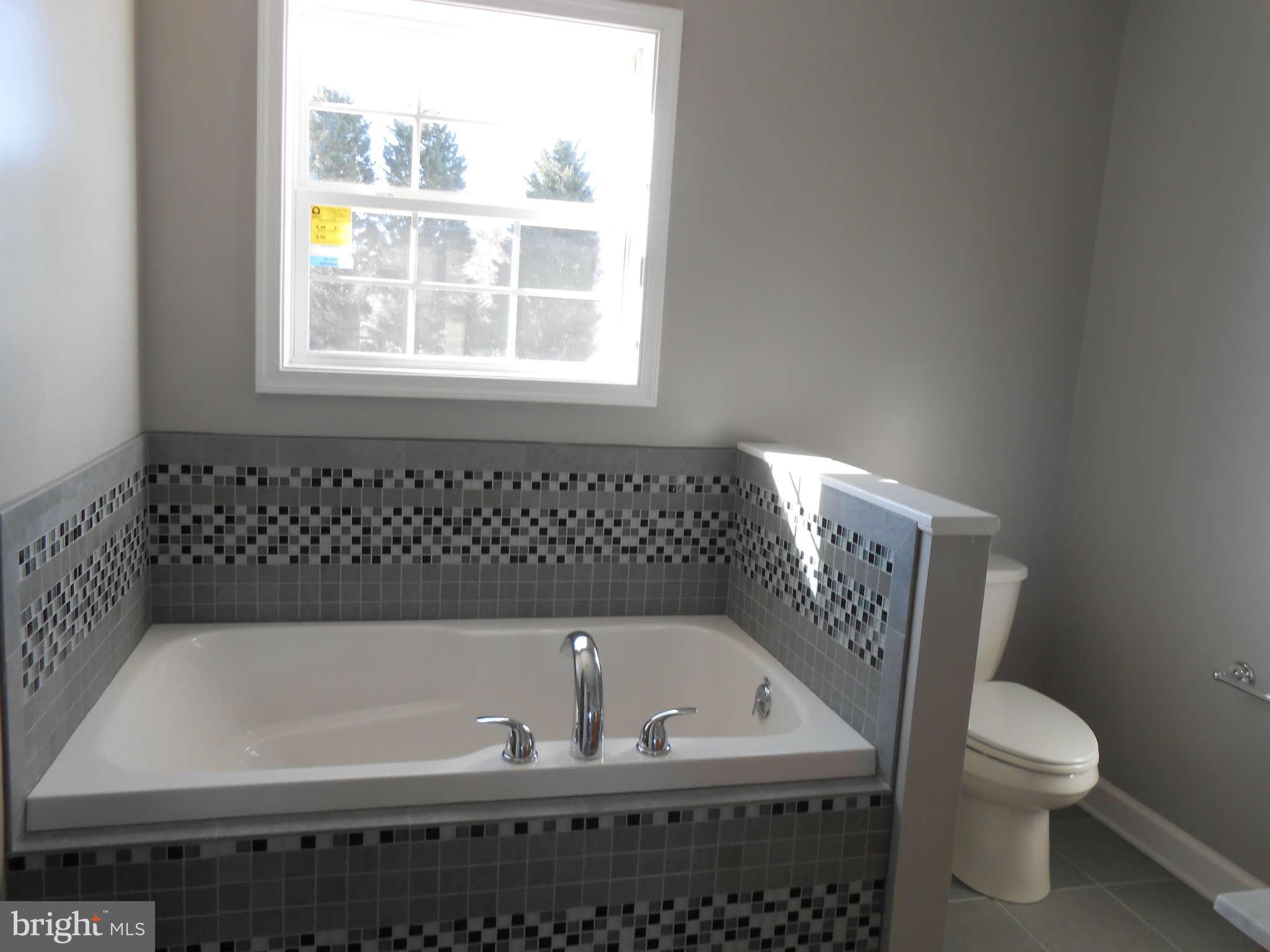 45215 Take It Easy Ranch Road Callaway, MD 20620 - Photo 8 of 14 Bath (Master)