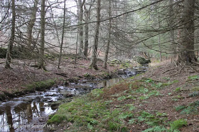 $189,000 | 409 Great Bend Turnpike, Pleasant Mount, PA 18453