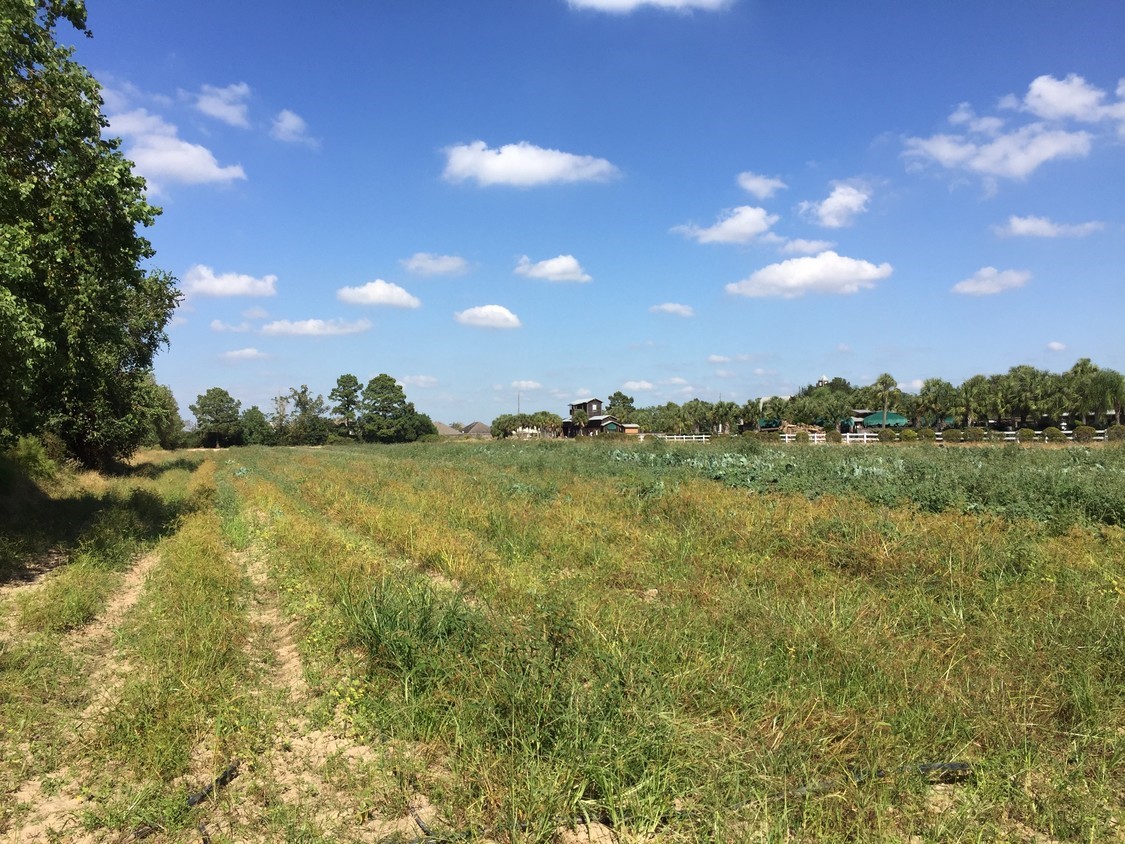 4100 Fm 2920 Rd Spring Spring, TX 77388 - Photo 2 of 9 a view of lake and mountain