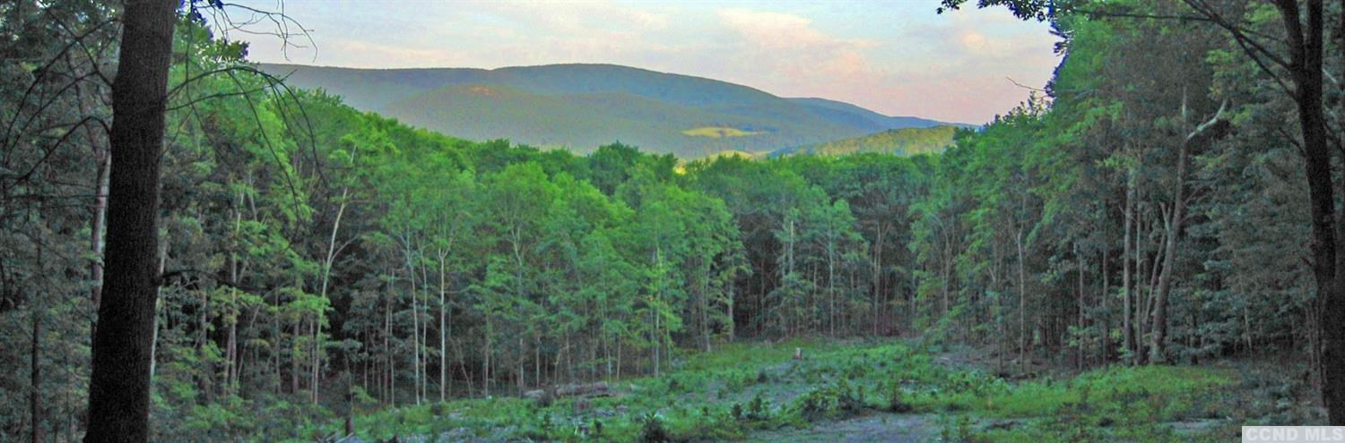 0 Overlook (lot 2) Road Copake, NY 12516 - Photo 1 of 2 Photo 1