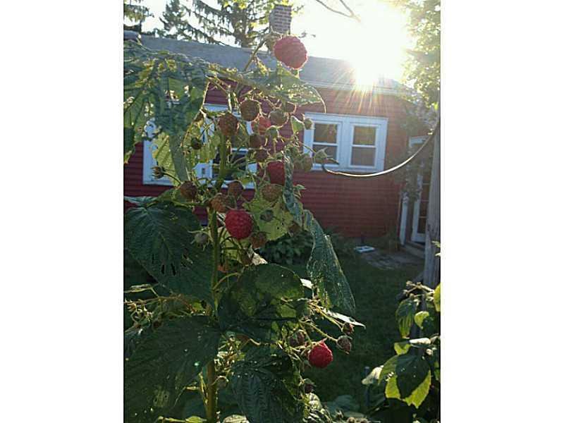 84 Mosher Road Gorham, ME 04038 - Photo 24 of 29 Yard/Garden.