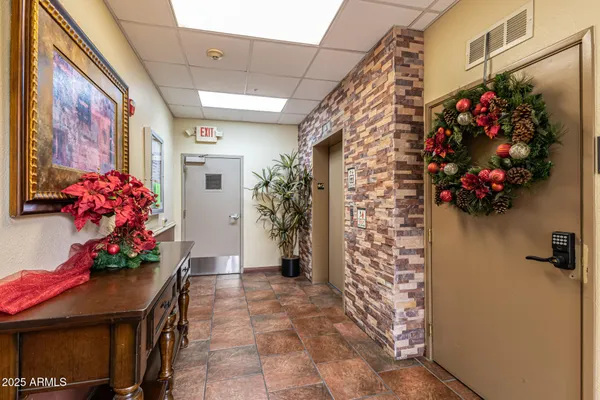 a outdoor space with potted plants