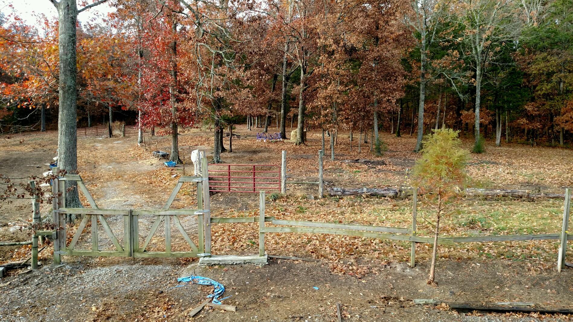 1300 Chicken Road Lebanon, TN 37090 - Photo 3 of 15 a view of yard with tree