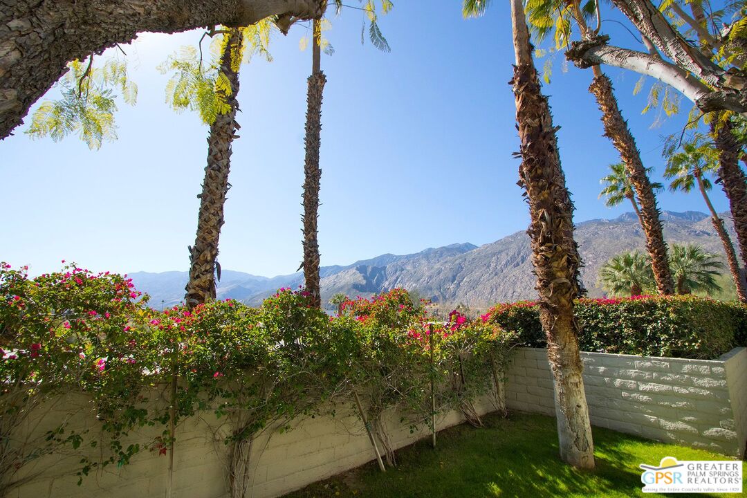 1100 East Amado Road, Unit 13C1 Palm Springs, CA 92262 - Photo 32 of 36 a view of a yard with plants and a fountain