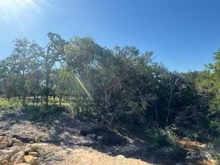 1018 Creek Crossing Road Nemo, TX 76070 - Photo 11 of 12 a view of a yard with a tree