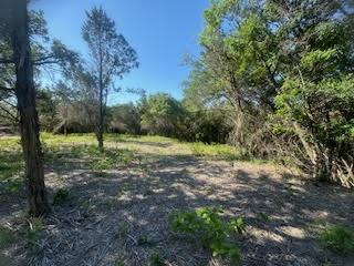 1018 Creek Crossing Road Nemo, TX 76070 - Photo 3 of 12 a view of outdoor space with trees all around
