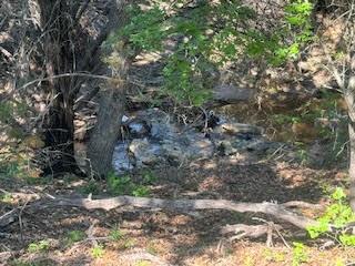 1018 Creek Crossing Road Nemo, TX 76070 - Photo 5 of 12 a backyard of a house with lots of green space