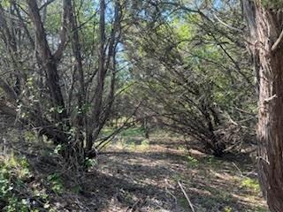 1018 Creek Crossing Road Nemo, TX 76070 - Photo 6 of 12