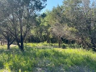 1018 Creek Crossing Road Nemo, TX 76070 - Photo 9 of 12 a view of backyard