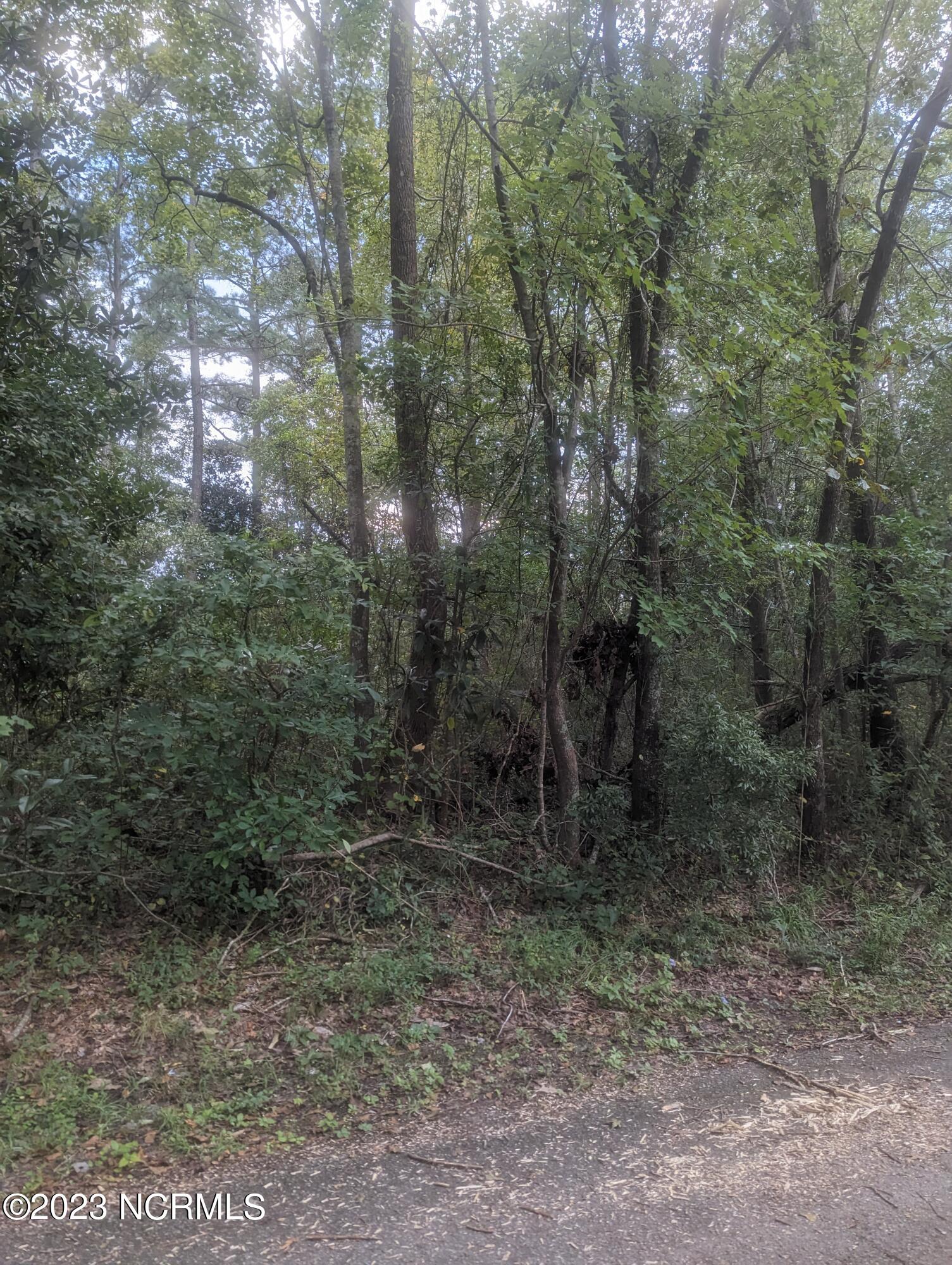 0 South Alderman Street Atkinson, NC 28421 - Photo 1 of 4 PXL_20230928_214902541