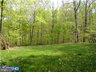 1981 Chestnut Hill Road Pottstown, PA 19465 - Photo 3 of 12 View