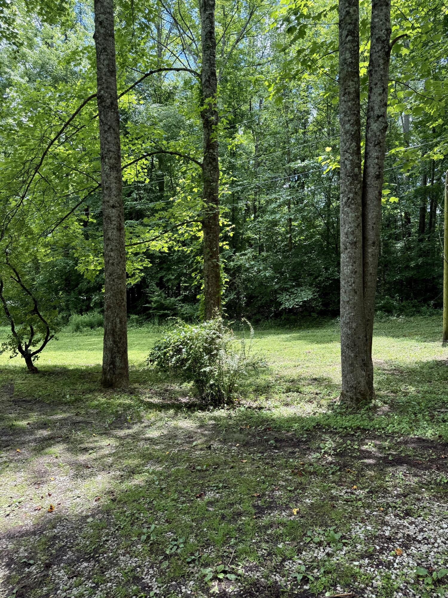 9851 Cranston Road Morehead, KY 40351 - Photo 50 of 52 IMG_0702 2
