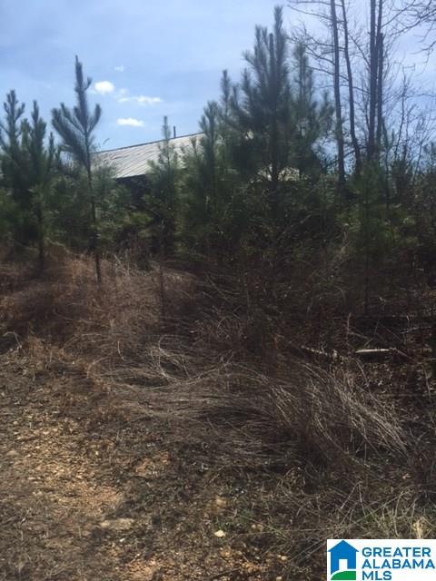 30 County Road, Unit 27 29 Cragford, AL 36255 - Photo 7 of 7