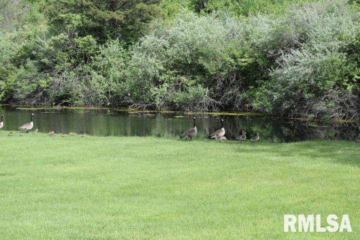16279 East Cherokee Road Cuba, IL 61427 - Photo 32 of 36