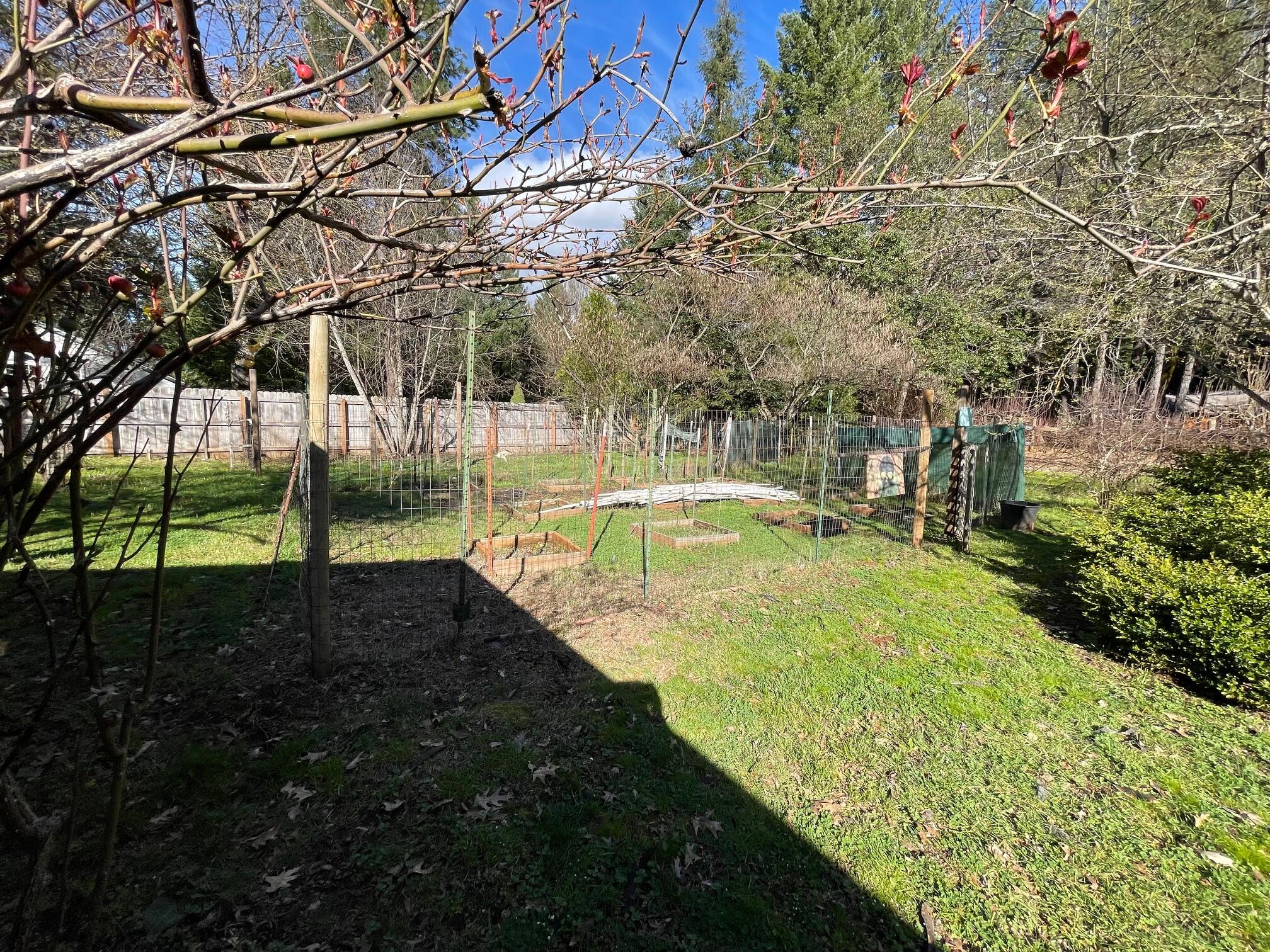 411 South Old Stage Road Cave Junction, OR 97523 - Photo 25 of 39 a view of a backyard