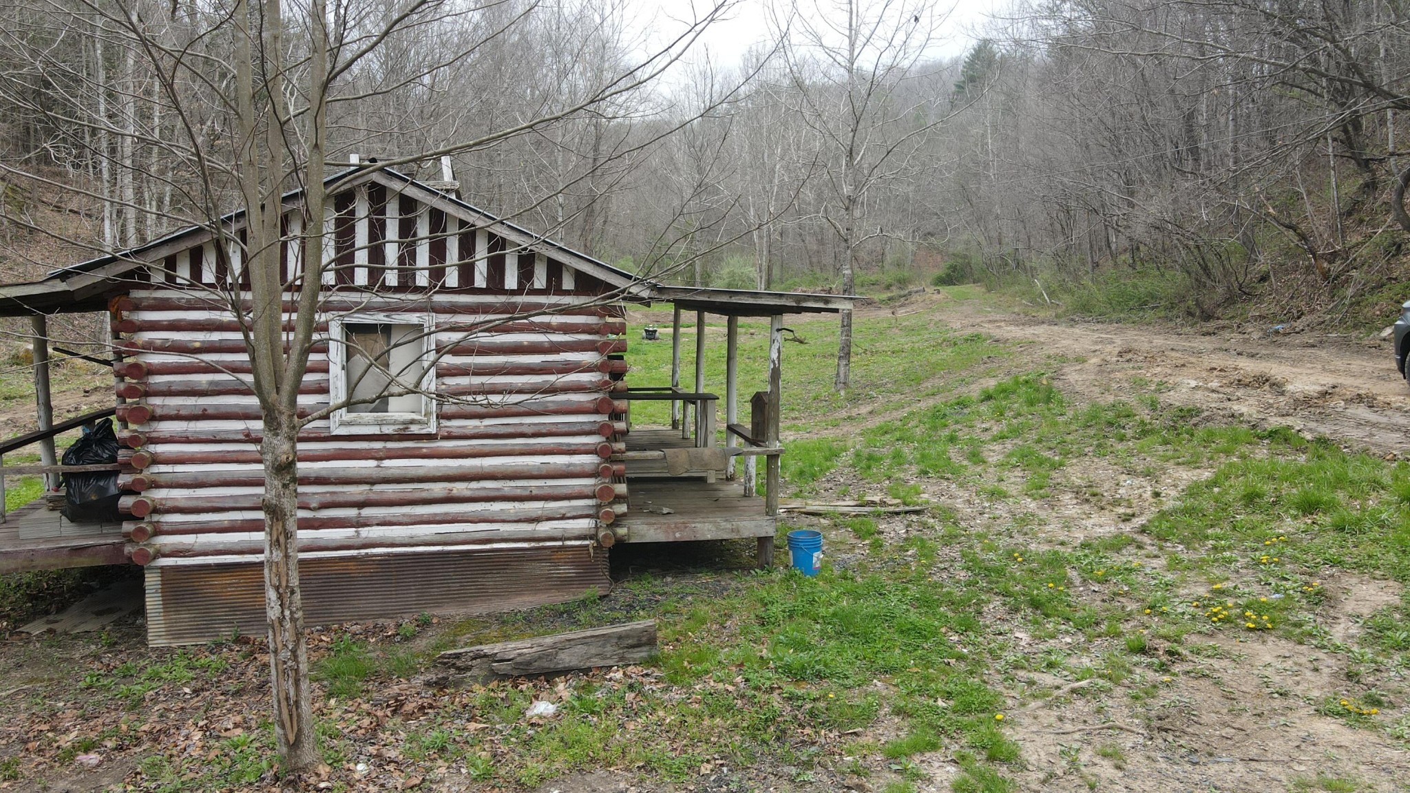 899 Morning Glory Road Oneida, TN 37841 - Photo 6 of 27