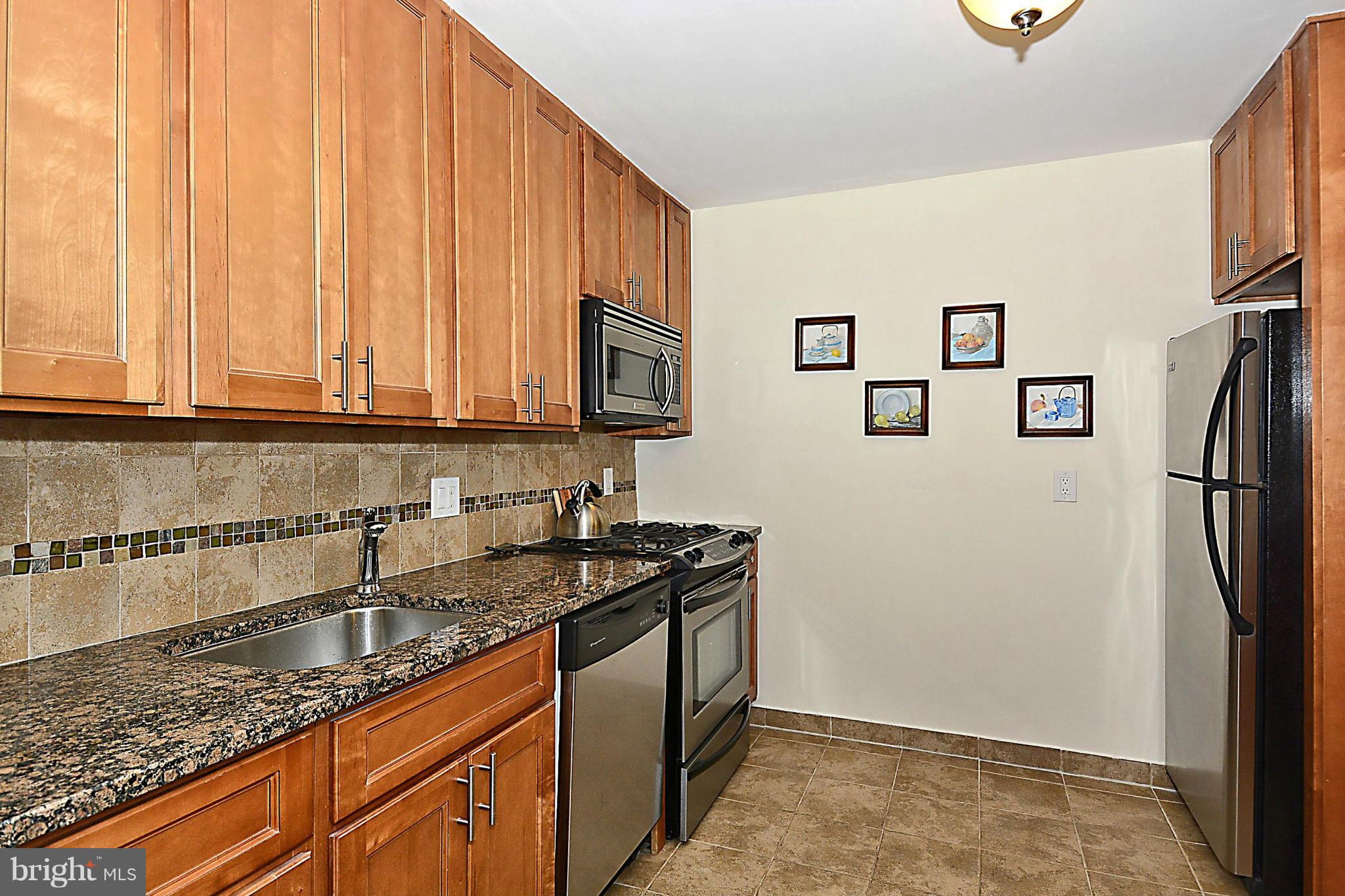10862 Bucknell Drive, Unit 101 Silver Spring, MD 20902 - Photo 10 of 28 Kitchen