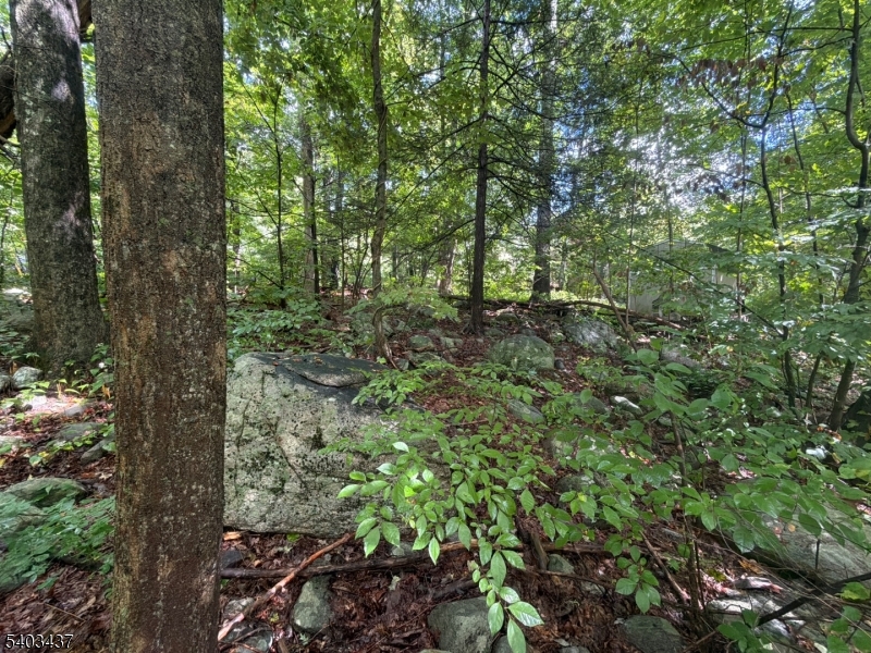 0 Ridge Road Oak Ridge, NJ 07438 - Photo 8 of 8 Gallery Image 8