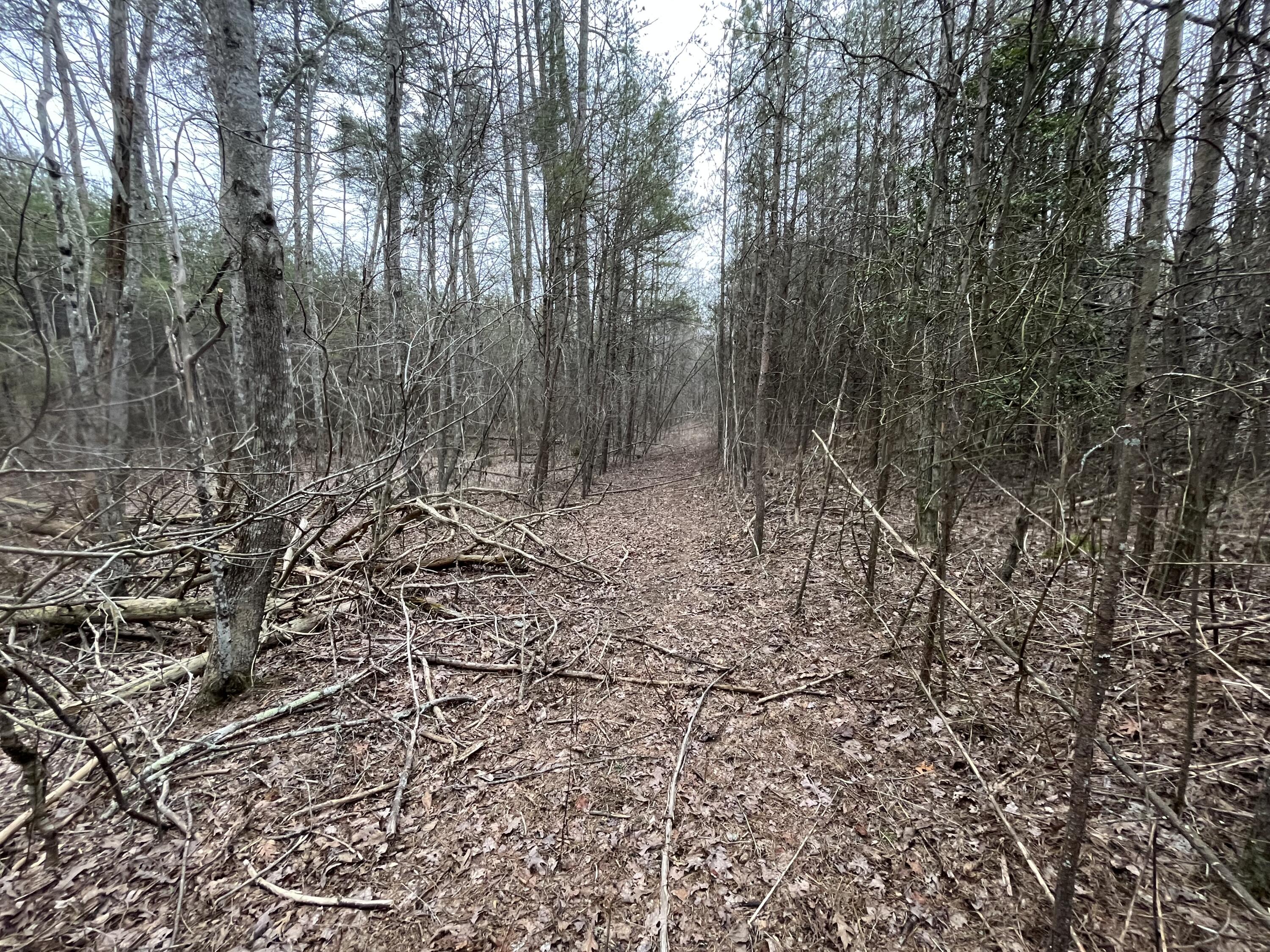 31 Fredonia Road Dunlap, TN 37327 - Photo 1 of 14 Photo Feb 20 2023, 2 30 46 PM
