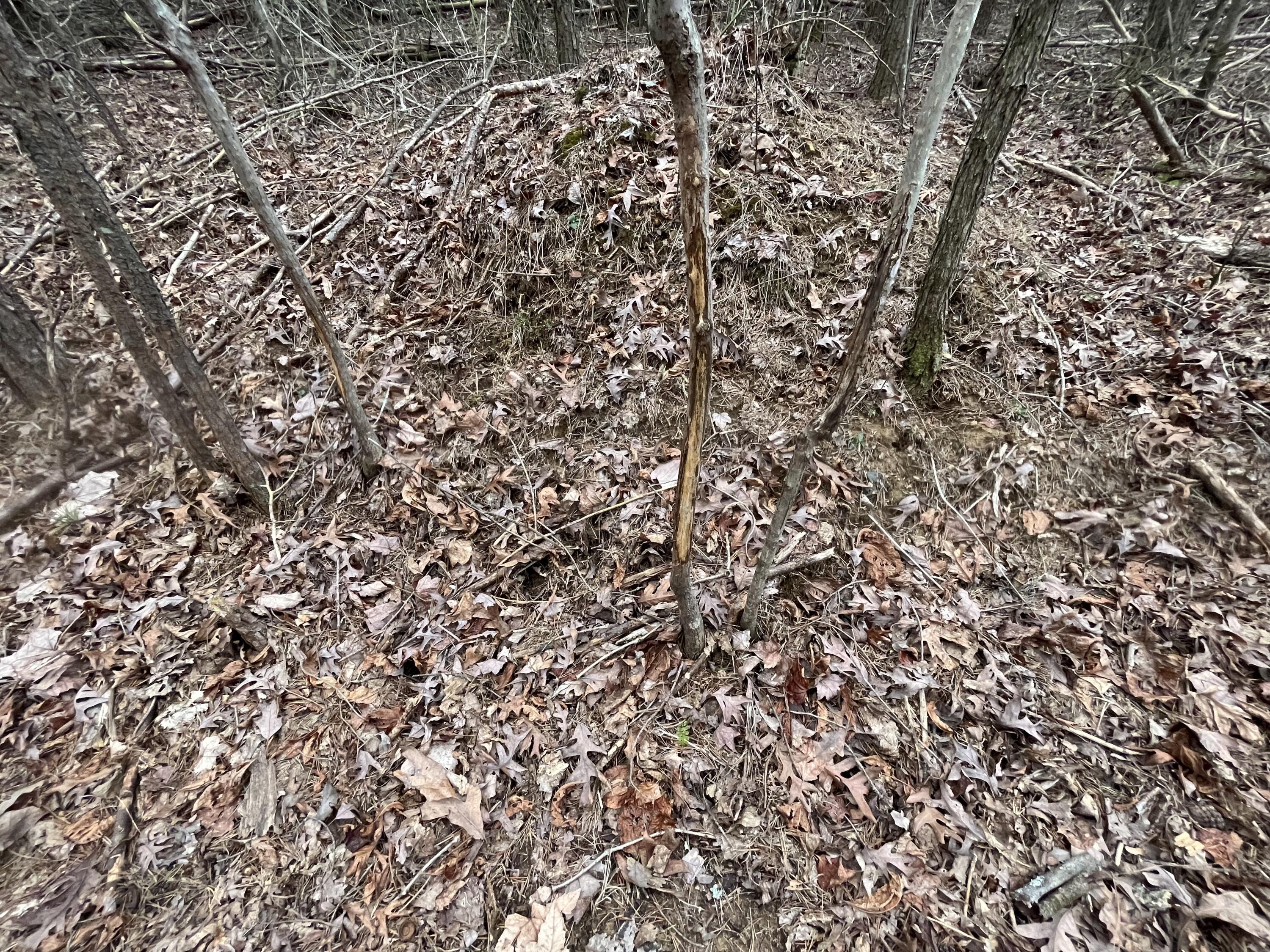 31 Fredonia Road Dunlap, TN 37327 - Photo 9 of 14 Photo Feb 20 2023, 2 30 22 PM