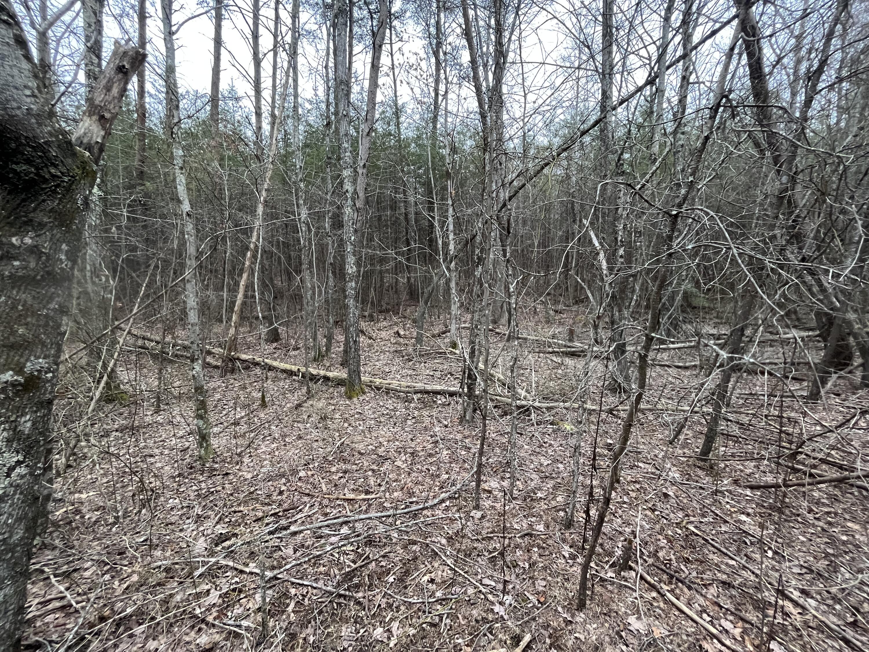 31 Fredonia Road Dunlap, TN 37327 - Photo 10 of 14 Photo Feb 20 2023, 2 31 23 PM