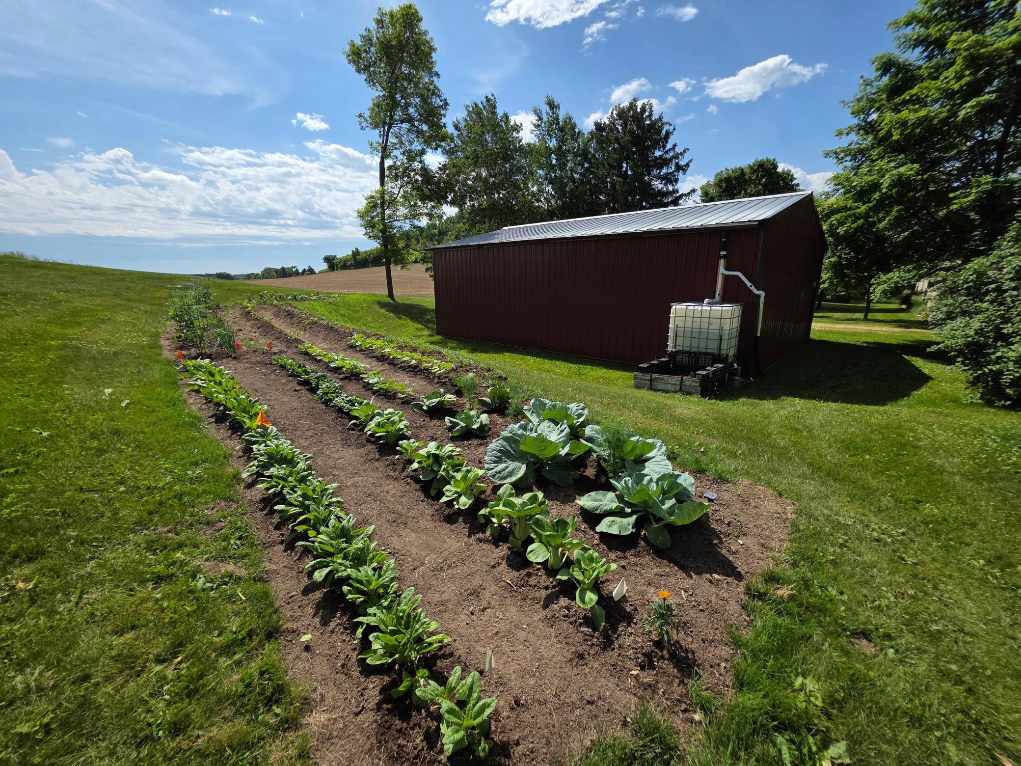 E5199 County Rd C Menomonie, WI 54751 - Photo 63 of 76