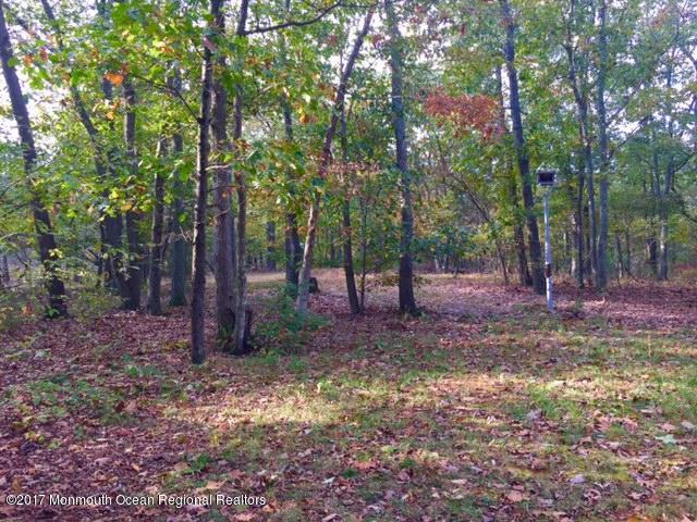 1336 Toms River Road Jackson, NJ 08527 - Photo 17 of 20 FullSizeRender_3