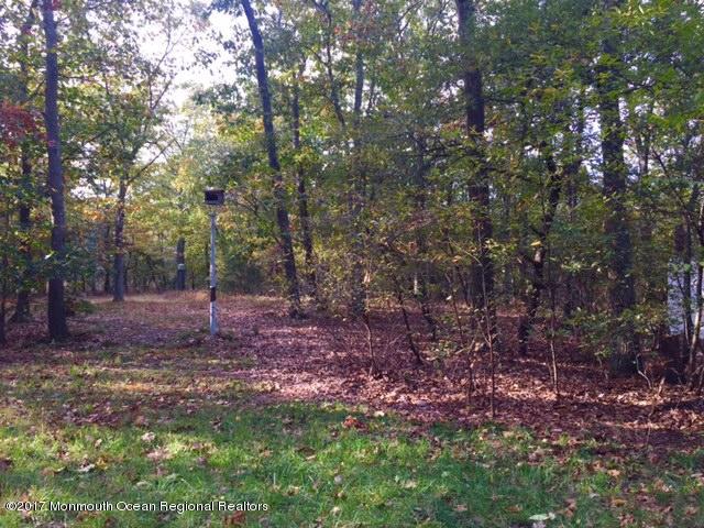 1336 Toms River Road Jackson, NJ 08527 - Photo 18 of 20 FullSizeRender_4