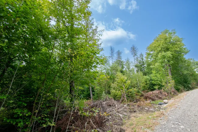 $34,900 | Lot2 Lot2 Bear Brook, Sebec, ME 04481