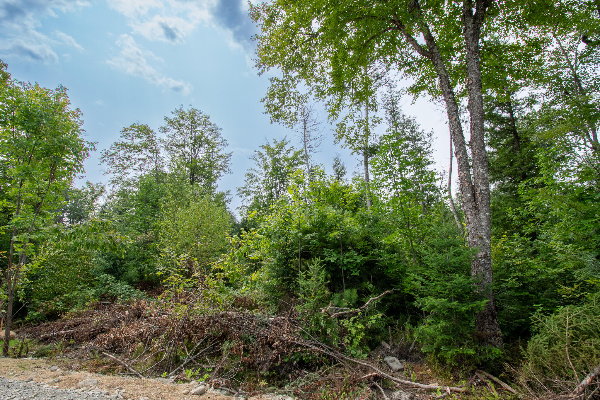Lot2 Lot2 Bear Brook Sebec, ME 04481 - Photo 4 of 14 DSC_0041