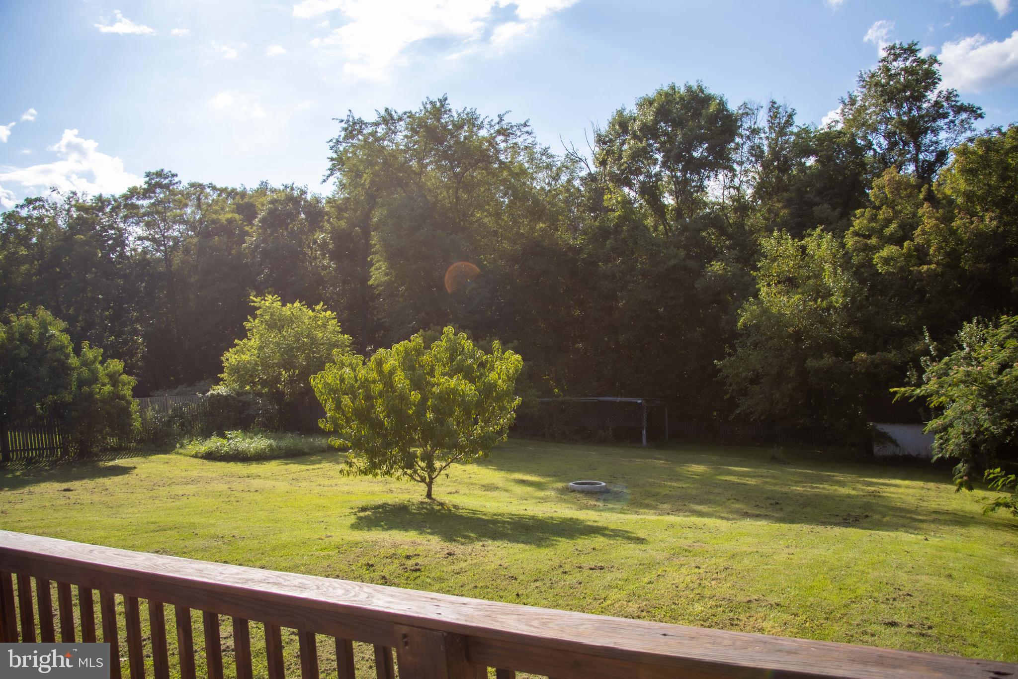 369 West Ridge Loop Road Romney, WV 26757 - Photo 5 of 43 Backyard view from deck- pavilion & shed