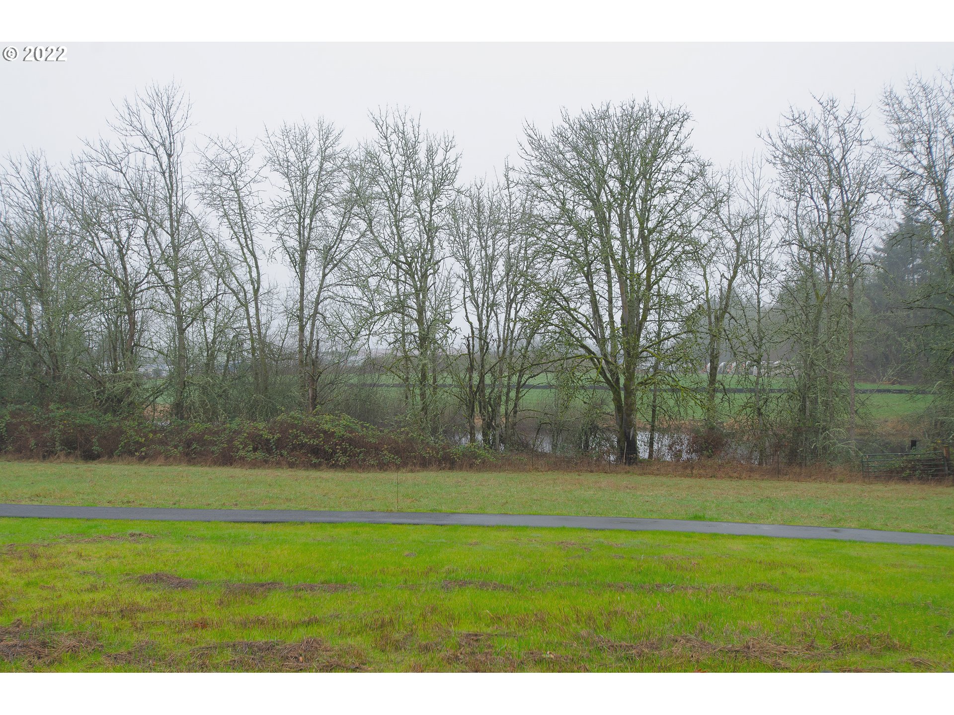 1017 South 50th Court Ridgefield, WA 98642 - Photo 29 of 32