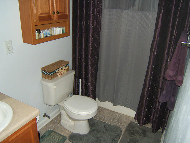 6729 Albert Road Roanoke, VA 24019 - Photo 13 of 29 Master Bath