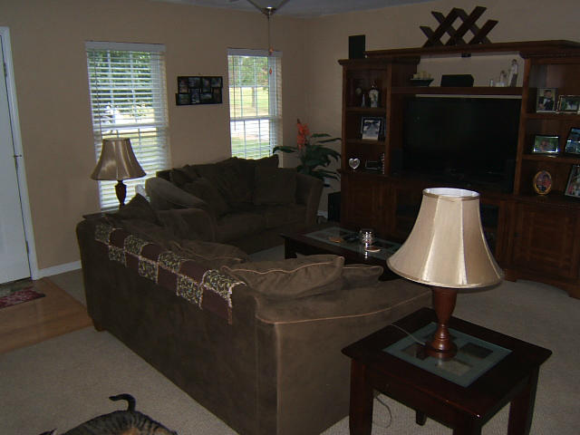 6729 Albert Road Roanoke, VA 24019 - Photo 9 of 29 Living Room