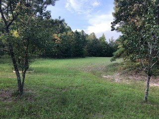 223 Crystal Springs Road Graniteville, SC 29829 - Photo 5 of 8 Gallery Image 5