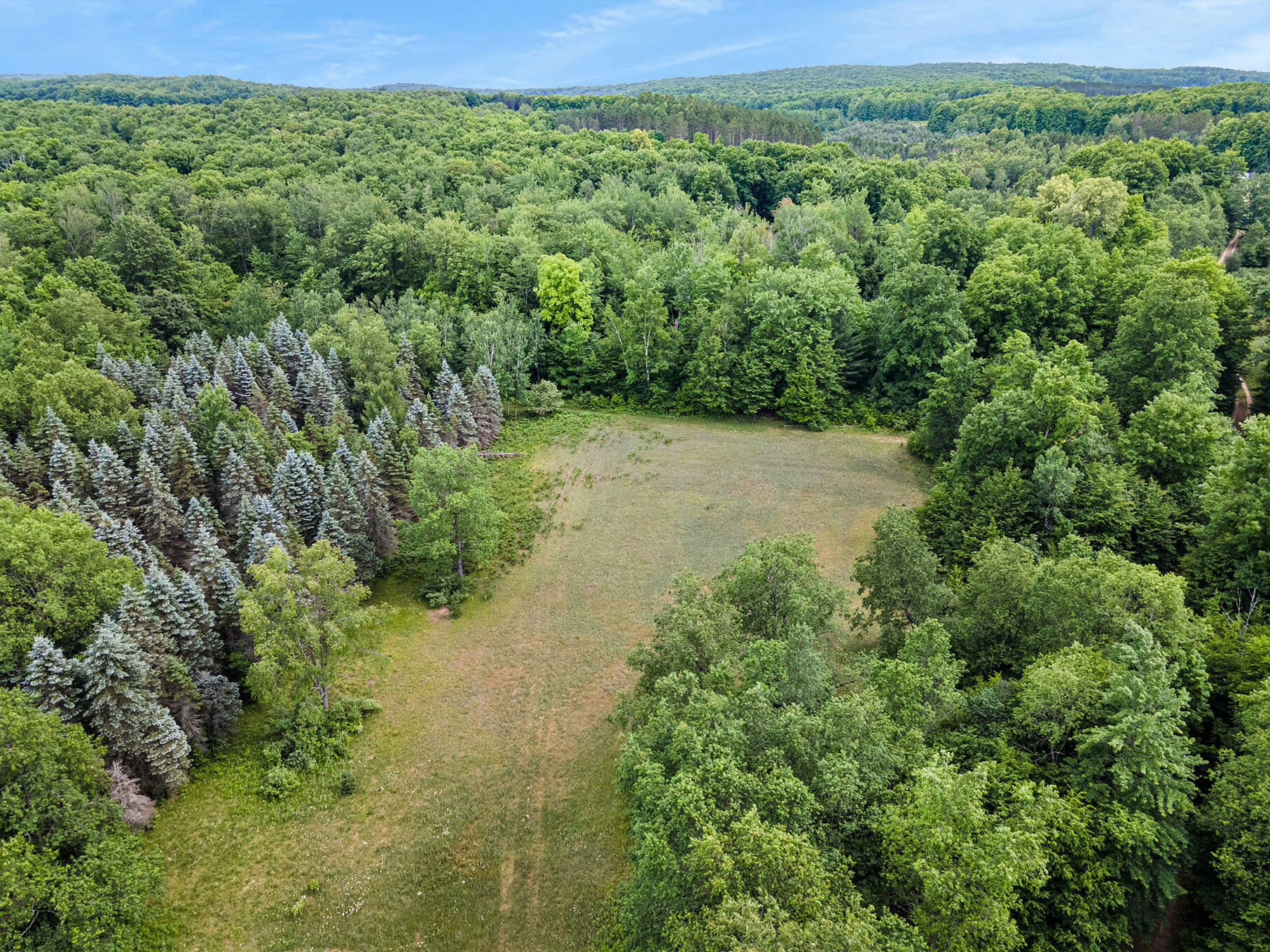 6876 West Phelps Road Manton, MI 49663 - Photo 29 of 35 DJI_0006