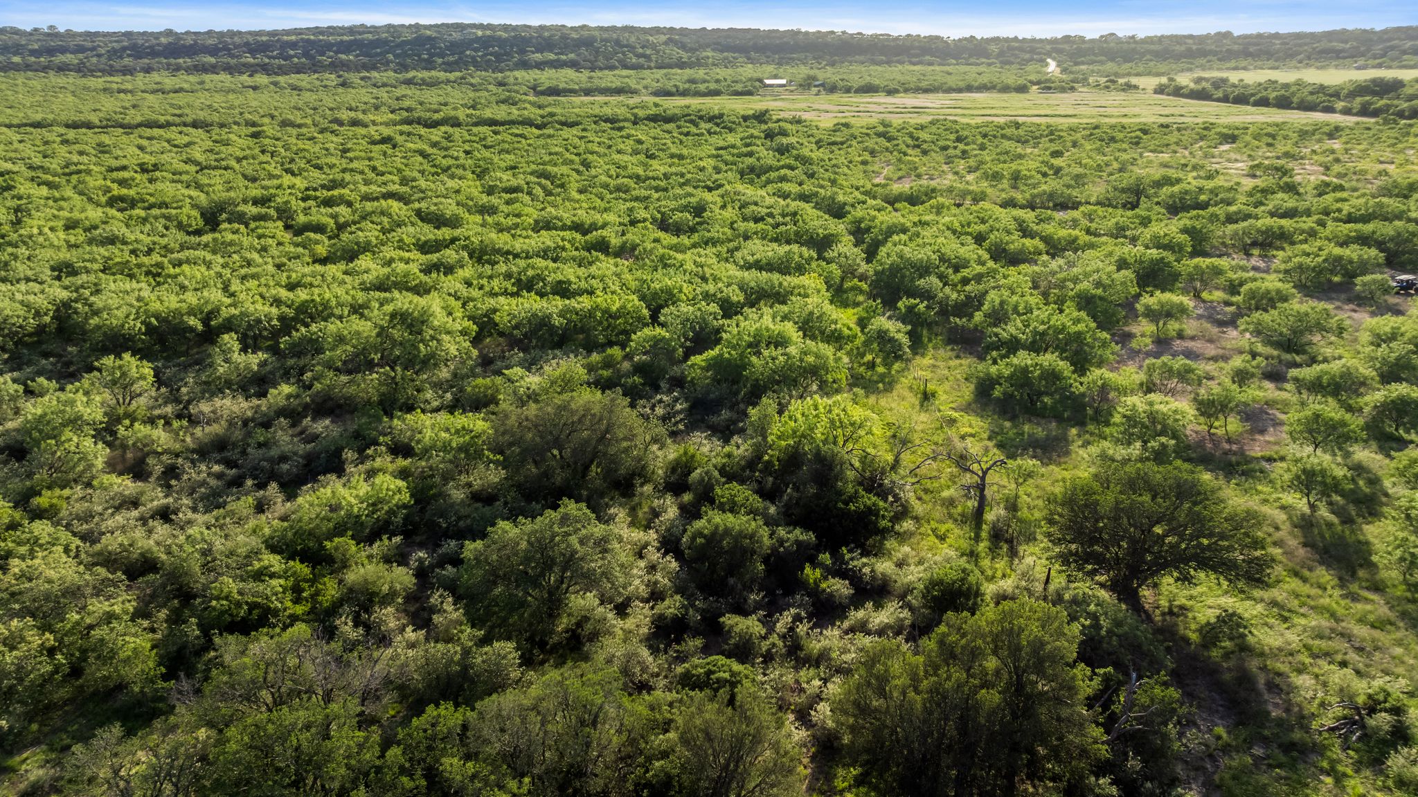 2186 FM 1028 Rochelle, TX 76872 - Photo 9 of 19 Bird's eye view of a forest