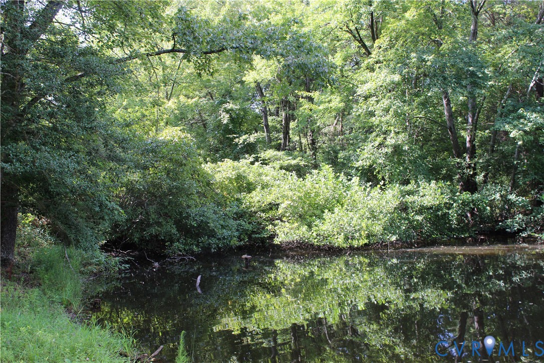 16524 Benmore Road Moseley, VA 23120 - Photo 11 of 43 a view of a lush green forest with lawn chairs and plants