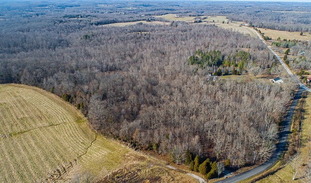8029 Wingfield Church Road Bowling Green, KY 42101 - Photo 2 of 16 Gallery Image 2