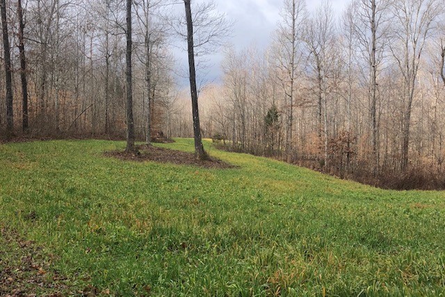 8029 Wingfield Church Road Bowling Green, KY 42101 - Photo 11 of 16 Gallery Image 11