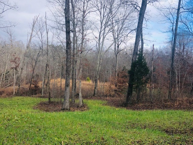8029 Wingfield Church Road Bowling Green, KY 42101 - Photo 12 of 16 Gallery Image 12