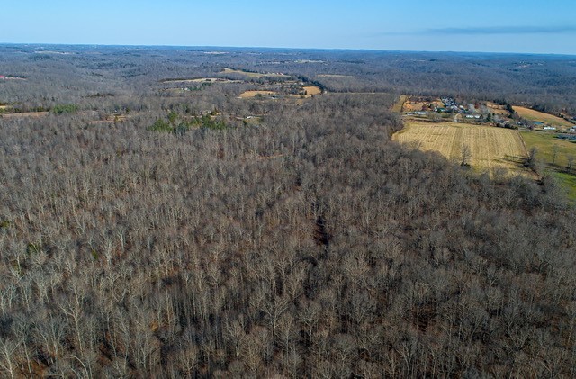 8029 Wingfield Church Road Bowling Green, KY 42101 - Photo 3 of 16 Gallery Image 3