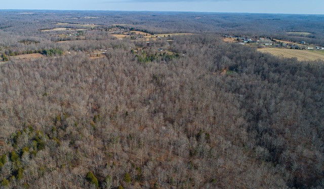 8029 Wingfield Church Road Bowling Green, KY 42101 - Photo 4 of 16 Gallery Image 4