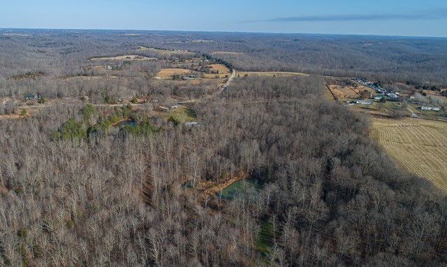 8029 Wingfield Church Road Bowling Green, KY 42101 - Photo 5 of 16 Gallery Image 5