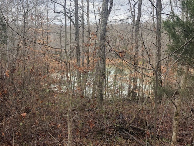 8029 Wingfield Church Road Bowling Green, KY 42101 - Photo 7 of 16 Gallery Image 7