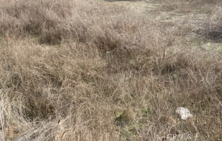 a close up of a wall