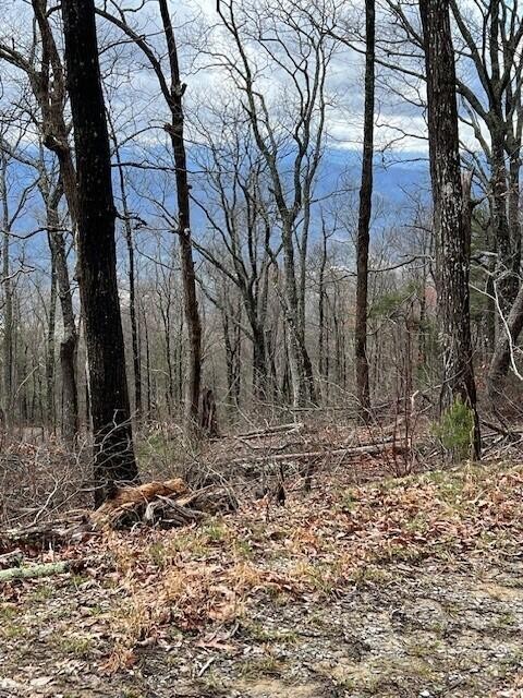 3 Tower Road Sevierville, TN 37862 - Photo 14 of 14