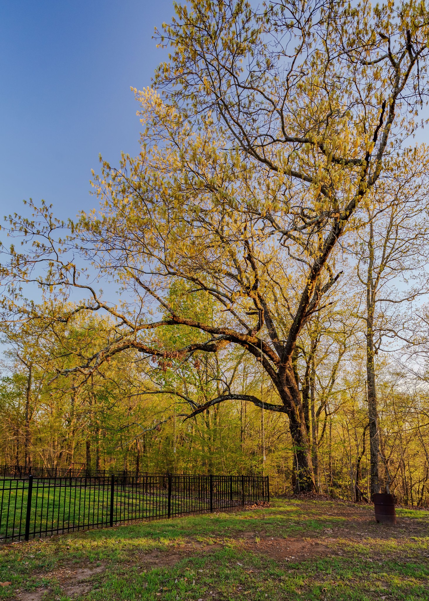 955 Snow Hill Road Dowelltown, TN 37059 - Photo 40 of 45 Gallery Image 40