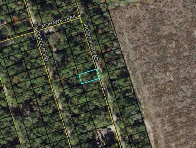 Xx Iroquois Road Crawfordville, FL 32327 - Photo 12 of 14